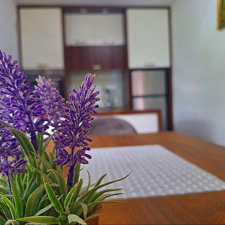 Apartman Kovaci サラエヴォ エクステリア 写真