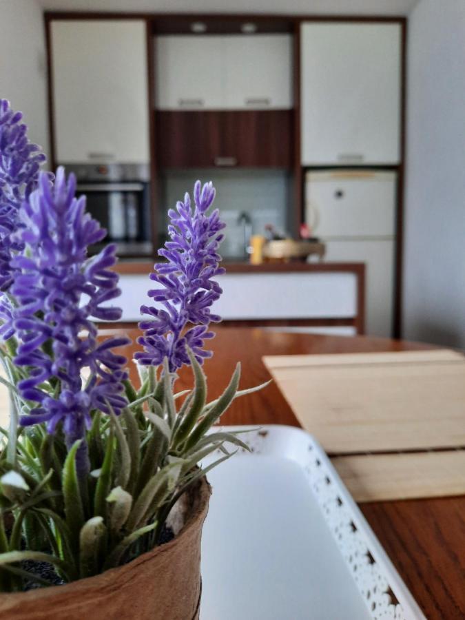 Apartman Kovaci サラエヴォ エクステリア 写真